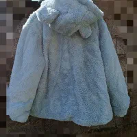 تدی پشمالو آبی و هودی پلنگی|لباس|گوراب زرمیخ, |دیوار