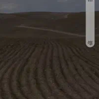 فروش زمین کشاورزی در منطقه گلخانه ای|فروش زمین و ملک کلنگی|تیران, |دیوار