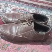 دو جفت کفش مردانه یک جفت زنانه|کیف، کفش، کمربند|تربت‌حیدریه, داروپخش|دیوار