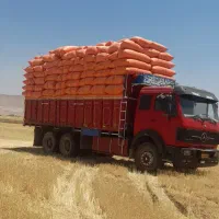 خرید وفروش وکاه گندم
