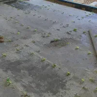 باز سازی ساختمان ،کارهای بدون پروانه غیر قانونی|خدمات پیشه و مهارت|بجنورد, |دیوار