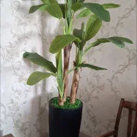 درخت مصنوعی بابا آدم