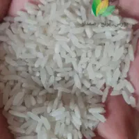 برنج طرح حمایتی پاکستانی دانه بلند