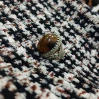 چشم ببر اصل