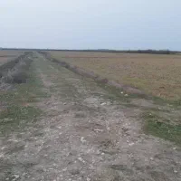 14942متر زمین کشاورزی تسطیح نشده350|فروش زمین و ملک کلنگی|رضوانشهر, |دیوار