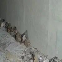 خریدار چوب درخت مورت