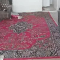 یخچال  بخاری غیره درحده نو|یخچال و فریزر|کرج, خلج آباد|دیوار