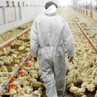 دامپزشک فارق التحصیل در آمل