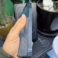 اپل ۱۲ پرو / ZAA / نقد و اقساط / بازنشستگی|موبایل|کرج, گوهردشت|دیوار