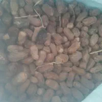 خرما فروشی|عمده‌فروشی|ایرانشهر, |دیوار