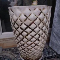 دیفن باخیا همراه گلدان سفالی|گل و گیاه طبیعی|اسلامشهر, شهرک محمدیه|دیوار