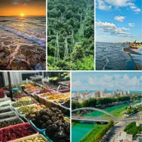 تور 5 روزه شمال لحظه آخری