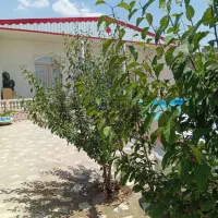 ویلا نقلی در صوفیان کوی میلاد سبز به متراژ 300 متر|فروش خانه و ویلا|صوفیان, |دیوار