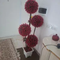 درختچه یاگل شمشاد بزرگ مصنوعی،|گل مصنوعی|یاسوج, |دیوار