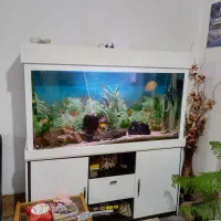 فروش آکواریوم