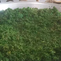 آبلیمو. آبغوره. سبزی. رب. پیاز داغ|خوردنی و آشامیدنی|کرج, گوهردشت|دیوار