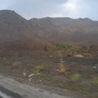 به یک ضامن B احتیاج دارم مبلغ ۲۵ پنج میدمش