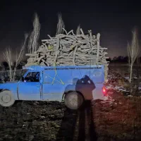 تیر سقفی چوب خرید هرس