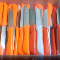 چاقو میوه خوری المانی