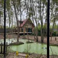 باغ ویلا فوق العاده (کلبه چوبی)|اجارهٔ کوتاه‌مدت ویلا و باغ|کومله, |دیوار