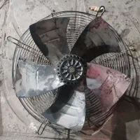 فن دائم کار