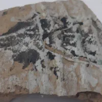 کتیبه قدیمیوتعداد زیادی ماهی دیده میشه وسهبعدی