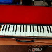 ملودیون سوزوکی