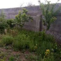 زمین باغی دور دیوار روستای جهانکوب|فروش زمین و ملک کلنگی|مشهد, توس فردوسی|دیوار