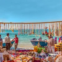 تور زمینی قشمvip|تور و چارتر|مشهد, بهشت|دیوار