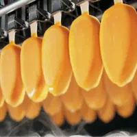 کارگر ساده کارخانه بستنی غذا،بیمه،خوابگاه/حراست