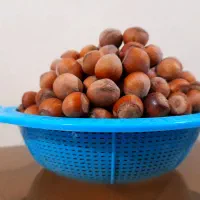 فندوق و چای|خوردنی و آشامیدنی|رشت, نیروی دریایی|دیوار