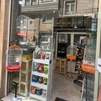 راهب عروس برزیلی کرینچیگ سخنگو رام دستی