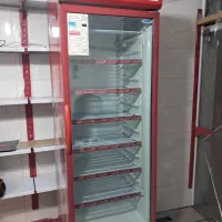فریزر ایستاده الکترو استیل