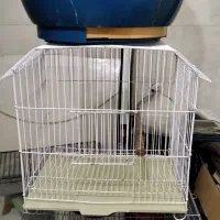 قفس پرنده|لوازم جانبی حیوانات|اصفهان, ملک‌شهر|دیوار