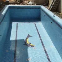 تاسیسات استخر برتر