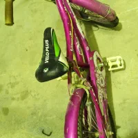 دوچرخه ویوا حرفه‌ای|دوچرخه، اسکیت، اسکوتر|خورموج, |دیوار