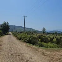 1.5 هکتار زمین مناسب گلخانه در سیاهکل