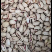 پسته|عمده‌فروشی|کاشمر, |دیوار