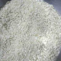 برنج اصل چمپا کره