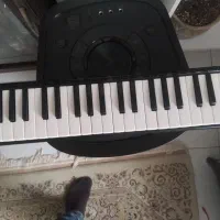 ملودیکا|سازهای بادی|بندر انزلی, سی متری|دیوار