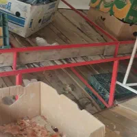 میز میوه فروشی