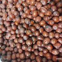 عناب مرغوب امسالی