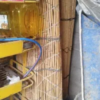 چیت ارزان نو