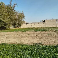 زمین کشاورزی در یافت اباد|فروش زمین و ملک کلنگی|تهران, سعیدآباد|دیوار