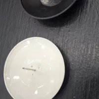 سوزن تگ صدفی