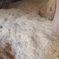 فروش کاه|خدمات باغبانی و درختکاری|شاهیوند, |دیوار