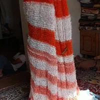 اجله عروسی|فرش|زاهدان, |دیوار