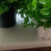 گلدان|گل مصنوعی|زاهدان, |دیوار