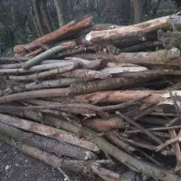 چوب هیزم|حراج|سیاهکل, |دیوار