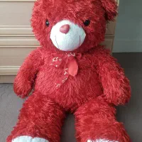 خرس ولنتاین